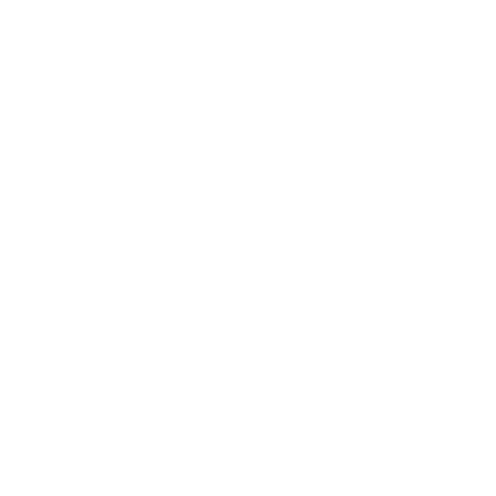 Miracle Mind
